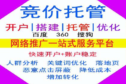 竞价推广中的着陆页策略：成功案例解读