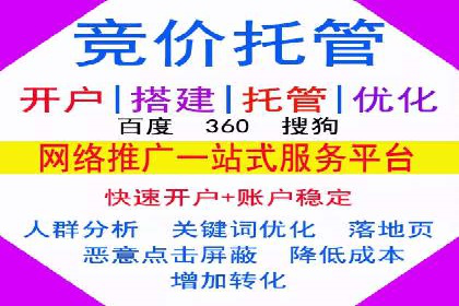 某企业选择sem代运营公司的决策过程及效果展示